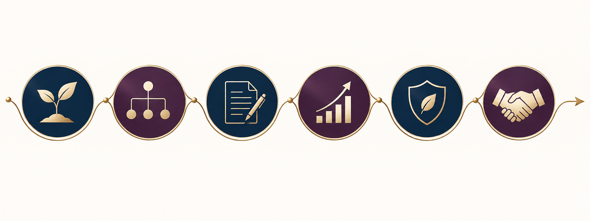 Small business lifecycle from establishment and contracts to growth and risk management